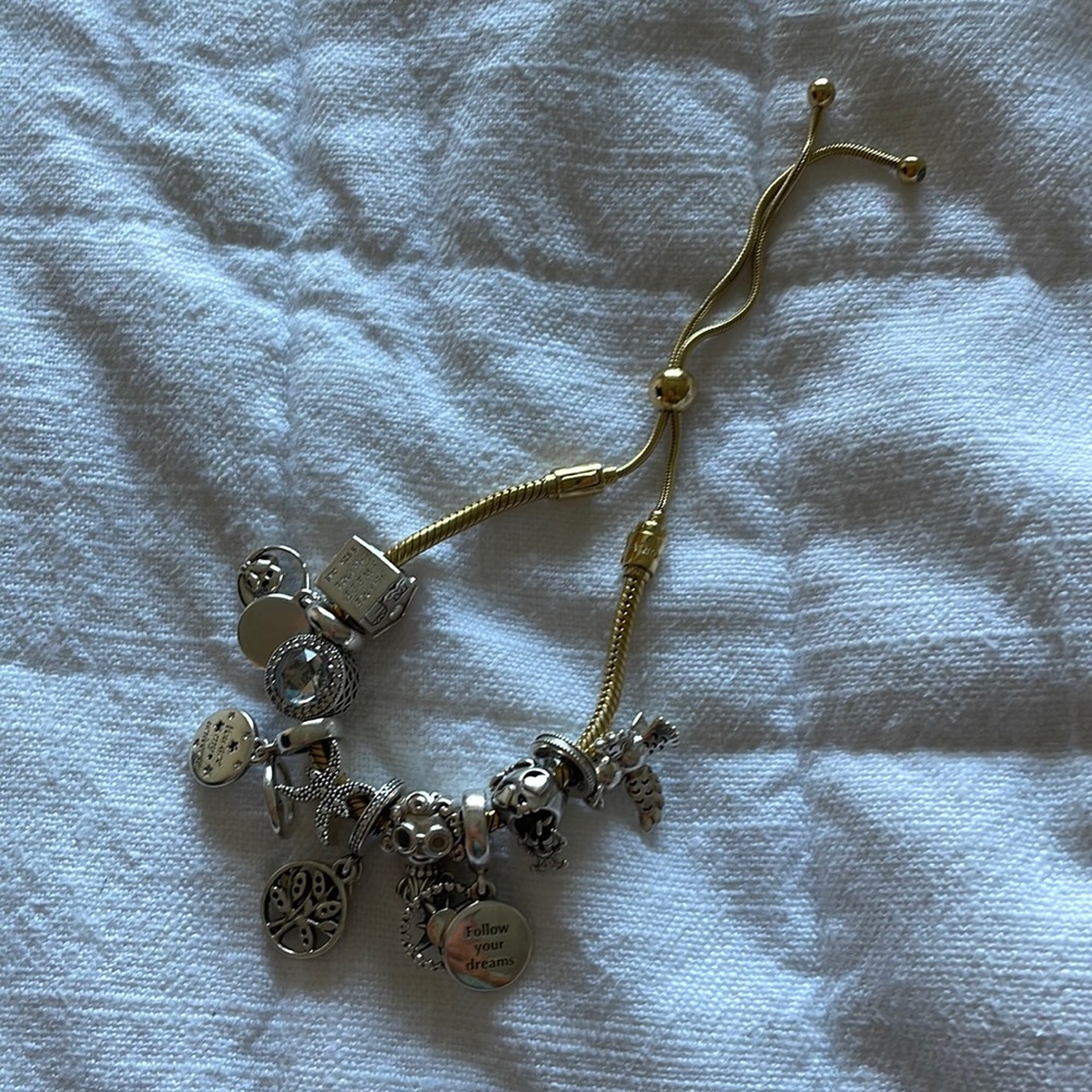 Pandora Bracelet
